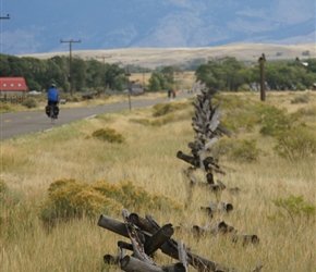 Phil and fence posts