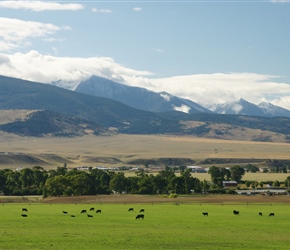 Looking across the Yellowstone River