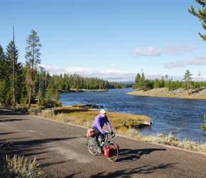 Barney along the Madison River