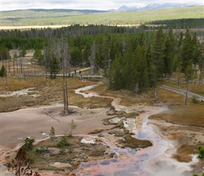 Artists Paint Pots, a group of over 50 springs, geysers, vents and especially mud pots. These exhibit varying shades of blue, grey and brown, and have a range of different textures, with the behavior changing during the year 