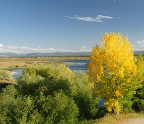 Yellow Aspen and Hebden Lake