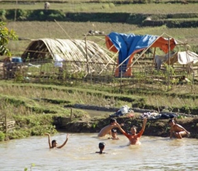 1.7 11 Swimming in paddy field