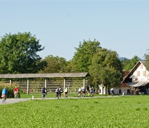 Group cycling towards Kranj