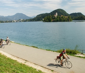 Barney along the North Shore of Lake Bled