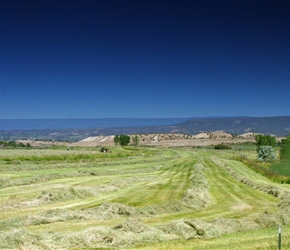 Hay Making