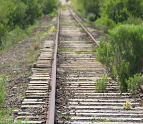 Railtracks on the St Joe Cyclepath