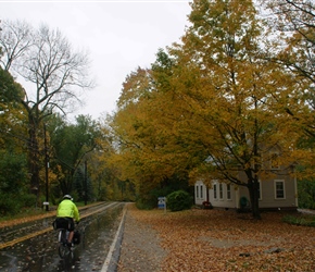 Linda passes foliage