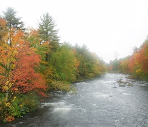 Foliage south of Eaton on Route 153