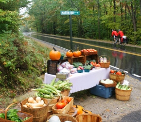 Janet and John pass a stall on route to Sanbornville