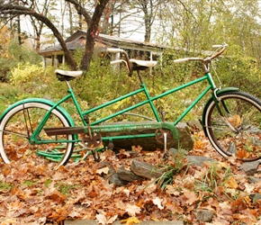 Old Tandem at Seedhouse cafe