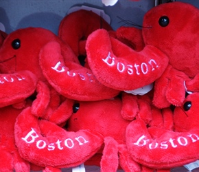 Lobsters for sale at Quincy Market