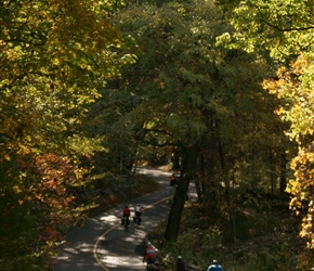 Descending Nagog Road