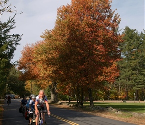 11.10.2010-Lexington-(9)-Tony-along-Minute-Man-highway.jpg