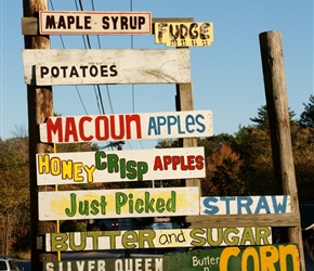 All sorts of farm produce near Groton