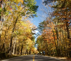 Tree line road just south of Richmond