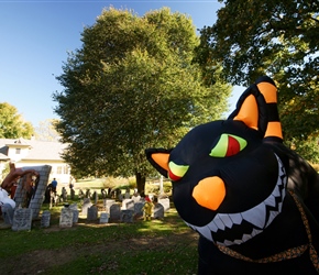 Halloween display in Northfield