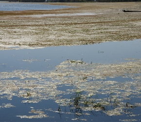 Northern shore of Lake Eryuan