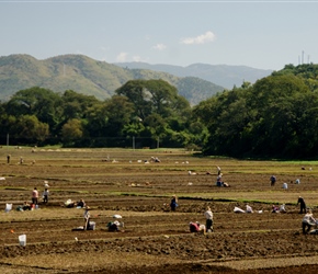 Quite amazing just how many people were working on the land