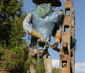 Scarecrow