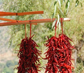 Drying chillis