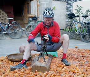 Richard chucks corn from the husks at Daju. Quite simple, spin the handle and push the dried corn in from the top