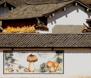 Lipu Village and mushroom mural. These murals would depict what the village did or grew