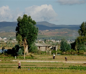 Farming near Xiaxhuang