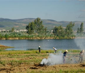 Carp ponds near Xiazhuang