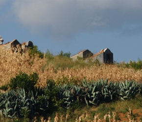 Graves on hillside