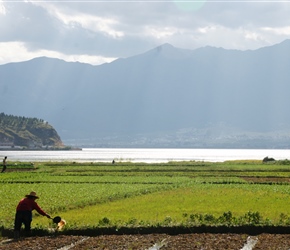 Watering the fields