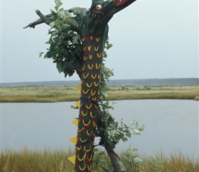 Another roadside creation , in this case a driftwood seacow