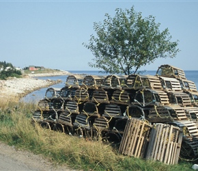 Pile of lobster pots at Neil's Harbour