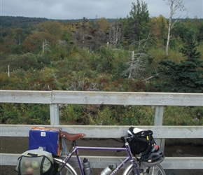 A laden bike full of maple syrup