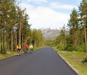 Terry, John, Linda and John along the tree lined road from Grotli