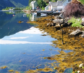 Fjord view at Fardal