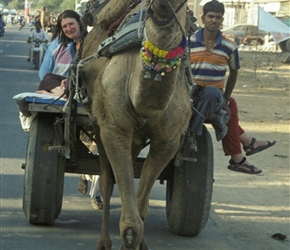 Irene arrives at the fair