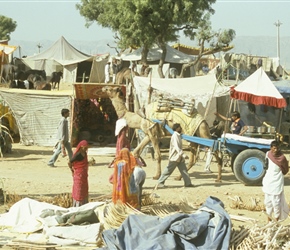 General scene at Pushkar Camel Fair