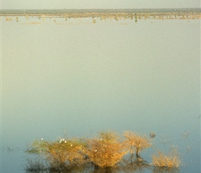 Lake at Sardar Samand