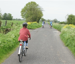 James along the Somerset levels towards Glastonbury