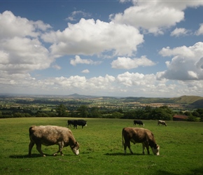 Farming country, with a view north near the Long Mynd