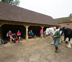 Heavy horses at Acton Scott