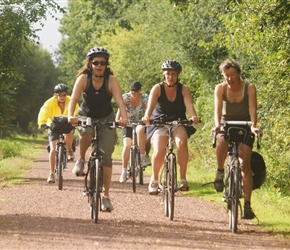 Mums on the Greenway