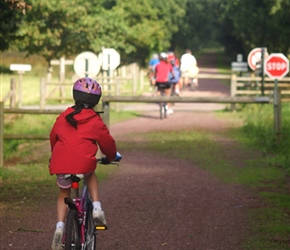 Alice of the greenway