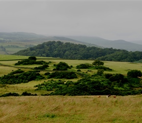 View on the road to Laurieston