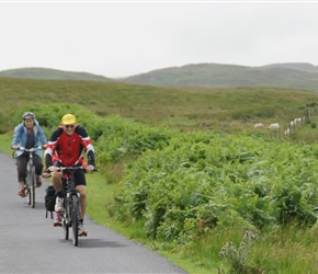 Richard and Anne on the road to Laurieston