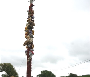 We passed the entrance to the Wicker Man festival. Clearly it's not only lone policeman that should be afraid in this area