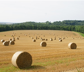 Round bales at Durnal