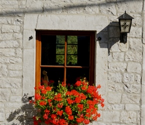 Window Box in Achene