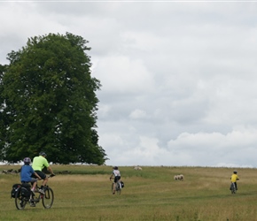 Across Westhope Common