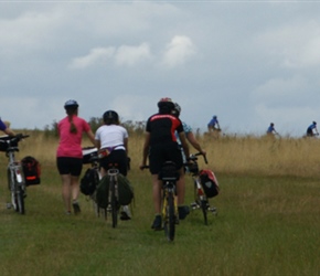 Across Westhope Common